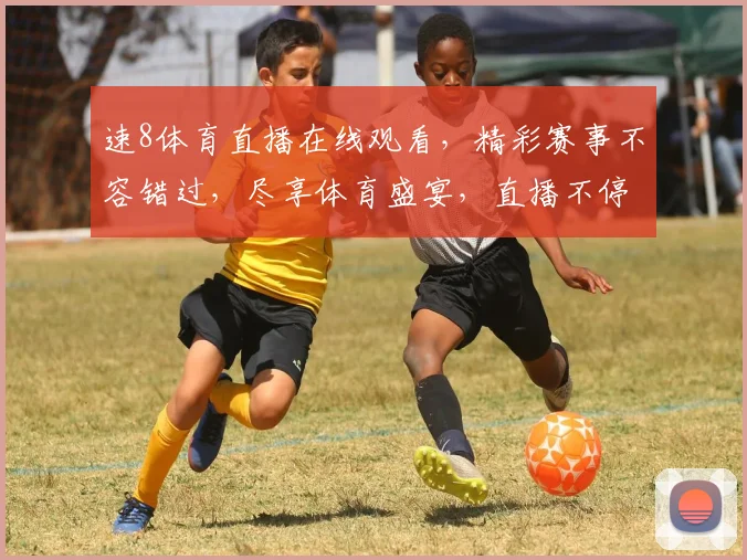 速8体育直播在线观看，精彩赛事不容错过，尽享体育盛宴，直播不停歇，精彩不断