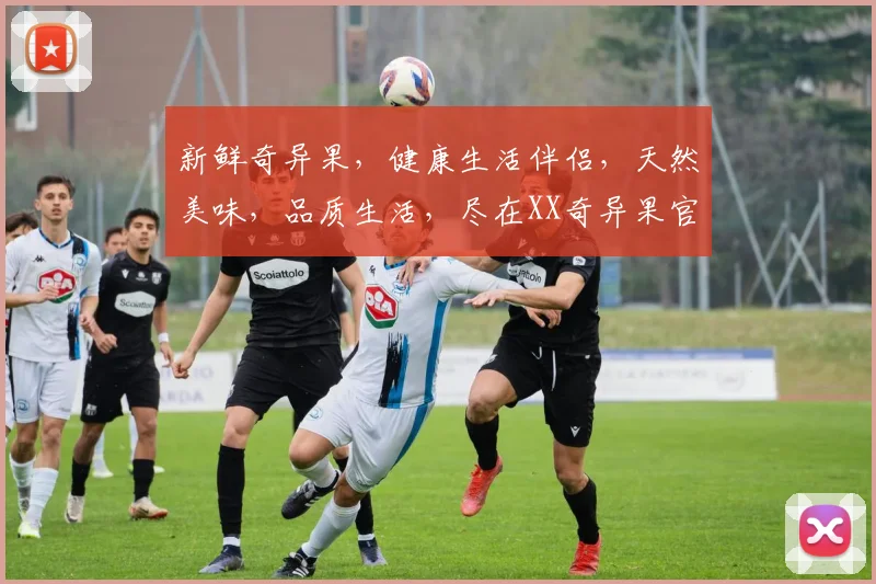 新鲜奇异果，健康生活伴侣，天然美味，品质生活，尽在XX奇异果官网